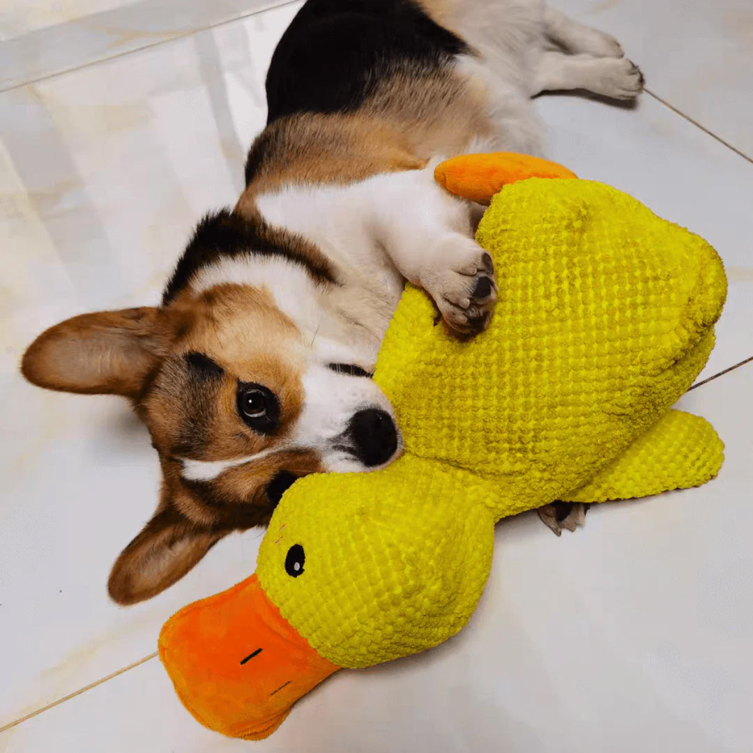 Juguete de Pato Relajante – Juguete de Peluche Suave y Relajante para Mascotas