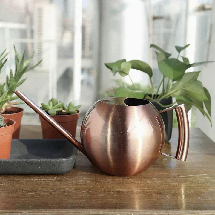 PlantFlow – Regadera esférica delgada perfecta para plantas delicadas