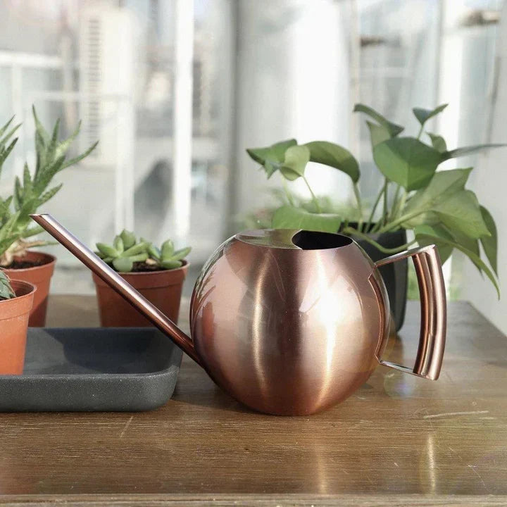 PlantFlow – Regadera esférica delgada perfecta para plantas delicadas