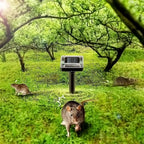 Dispositivo de ultrasonido solar para ahuyentar serpientes y plagas – unidad para el jardín