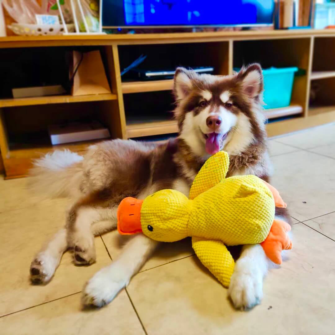 Juguete de Pato Relajante – Juguete de Peluche Suave y Relajante para Mascotas