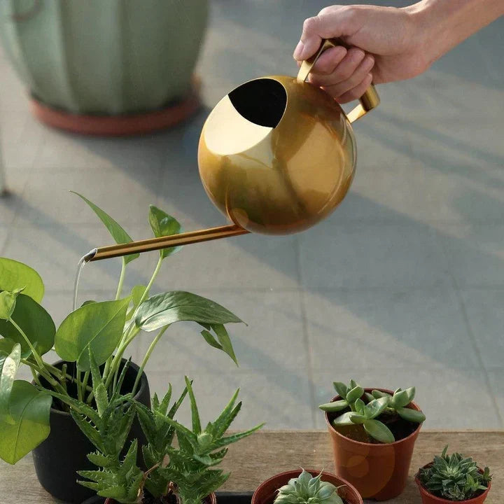 PlantFlow – Regadera esférica delgada perfecta para plantas delicadas