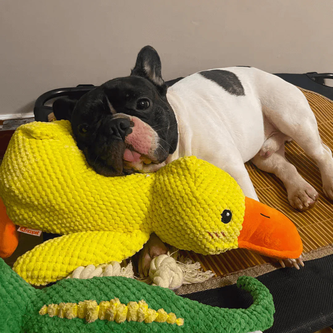 Juguete de Pato Relajante – Juguete de Peluche Suave y Relajante para Mascotas