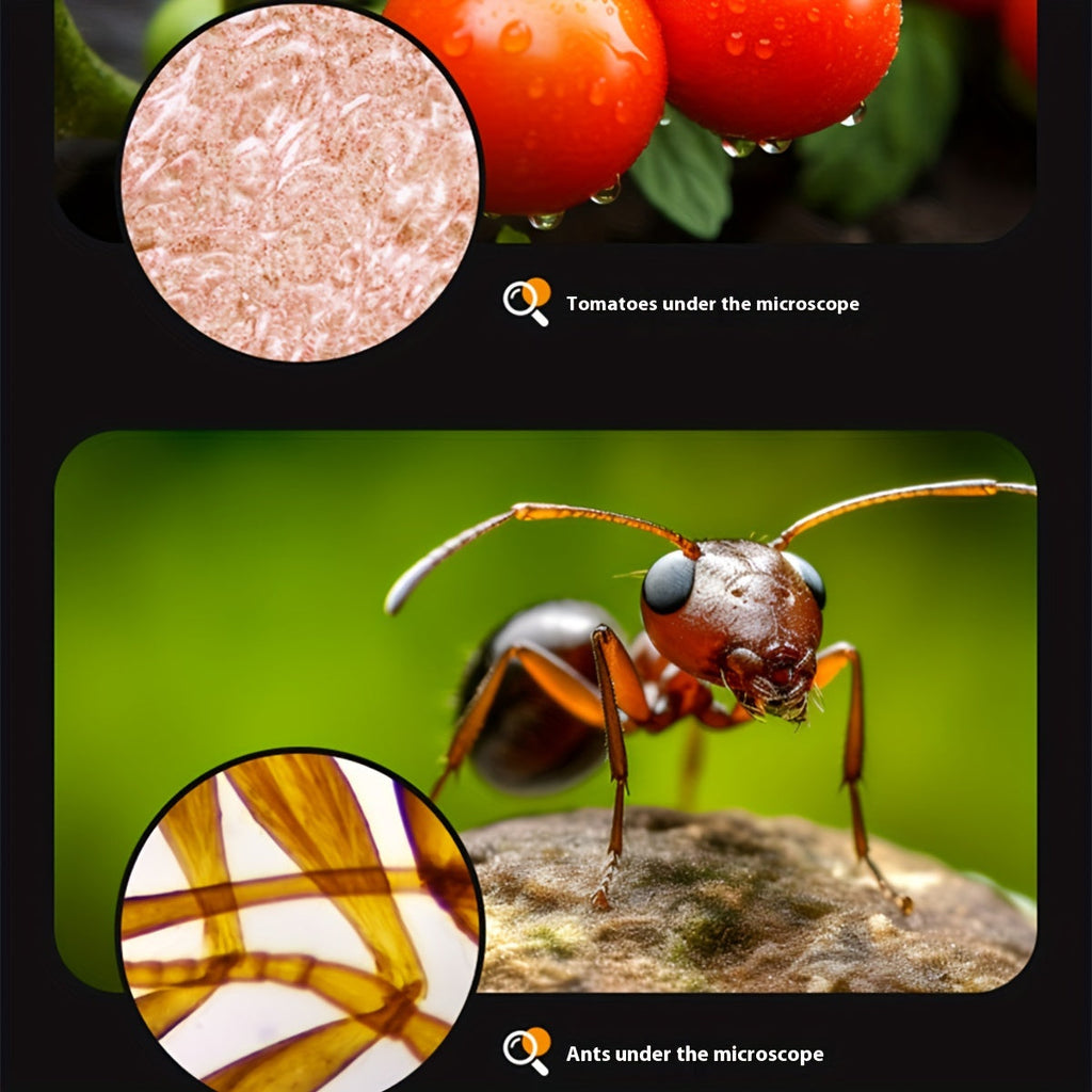 Mini Microscopio con Luz LED para Niños