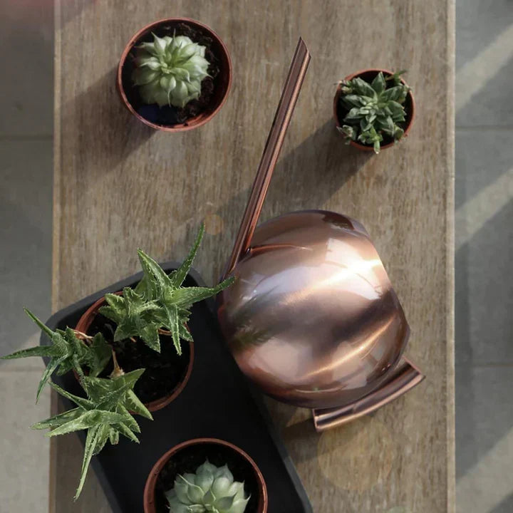 PlantFlow – Regadera esférica delgada perfecta para plantas delicadas