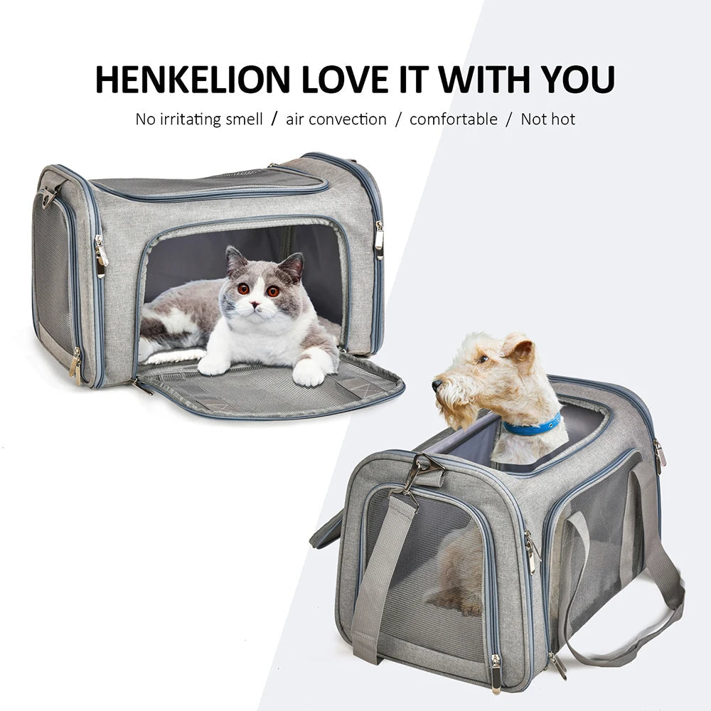 Mochila de Transporte para Mascotas Andas