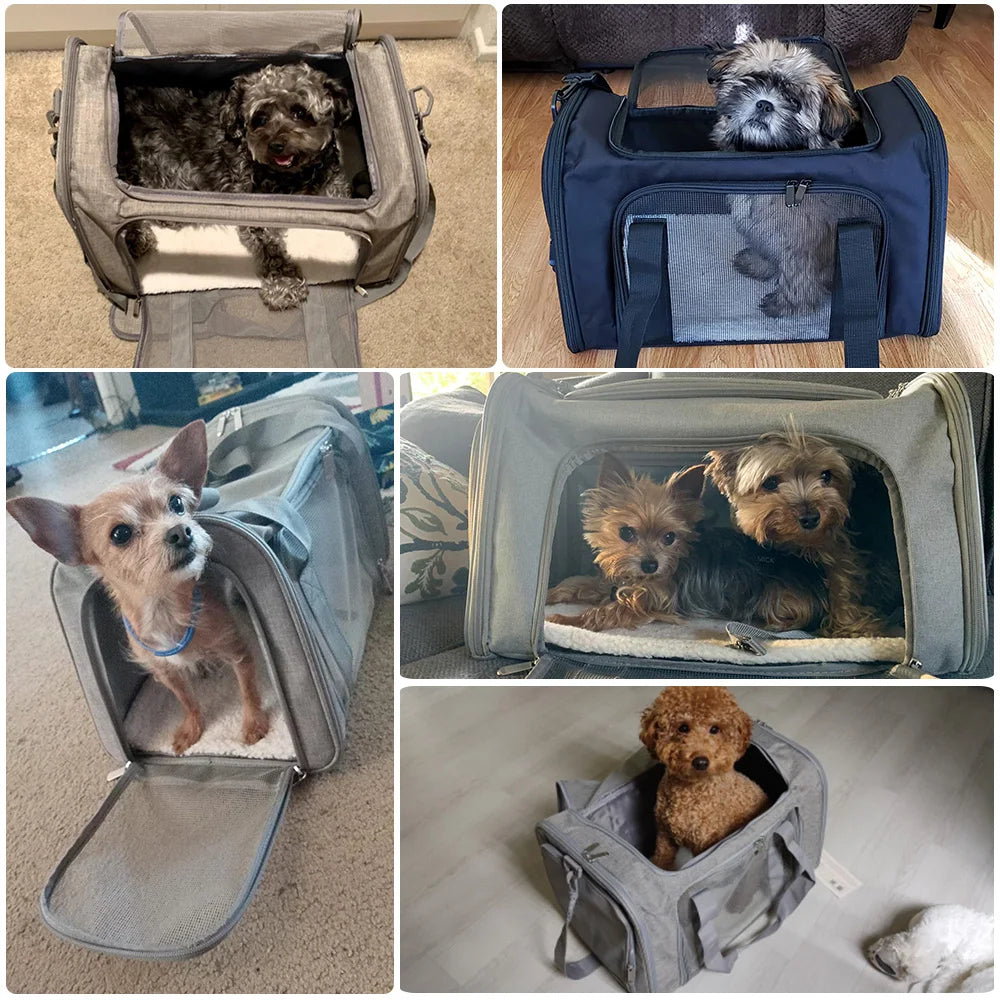 Mochila de Transporte para Mascotas Andas