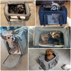 Mochila de Transporte para Mascotas Andas