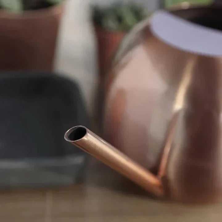 PlantFlow – Regadera esférica delgada perfecta para plantas delicadas