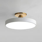 Lámpara de Techo Redonda Flush | Moderno Artefacto LED | Brillo Suave | Metal y Acrílico
