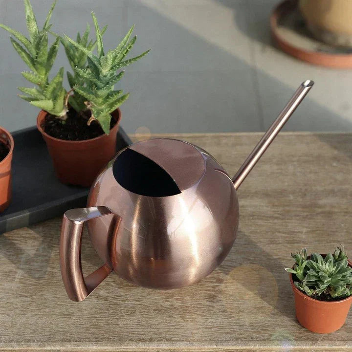 PlantFlow – Regadera esférica delgada perfecta para plantas delicadas