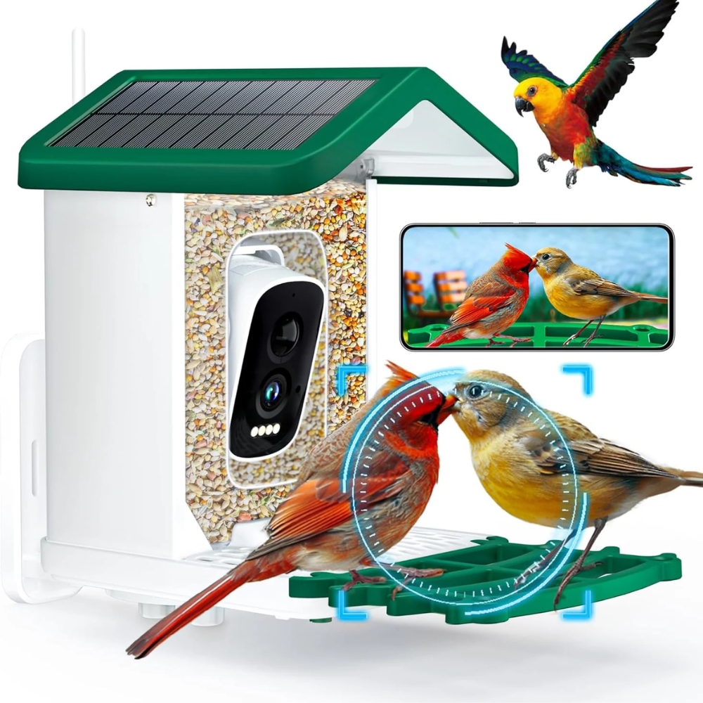 Cámara de Comedero para Aves Solar Inteligente para Exteriores