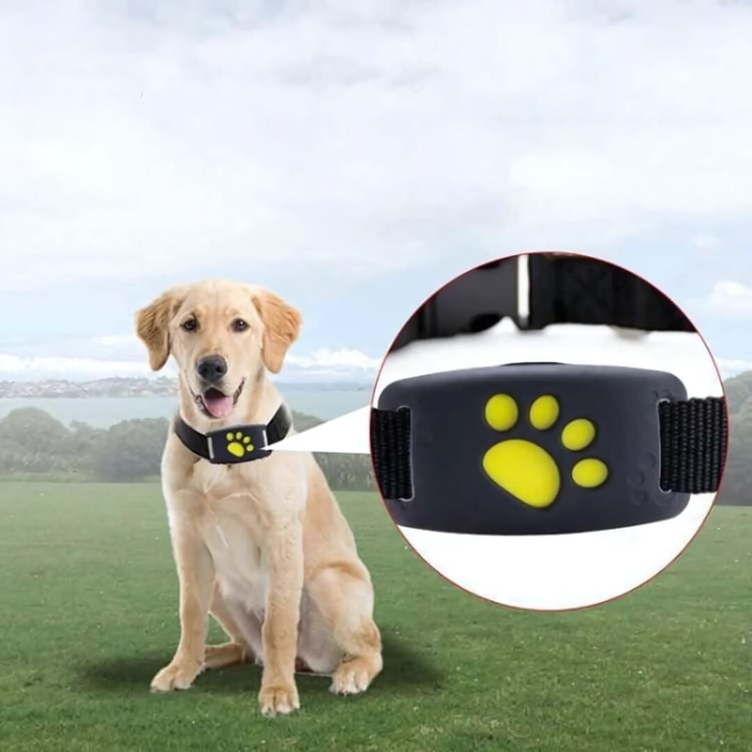 FindMyDog GPS Tracker – Seguimiento en Tiempo Real con Alertas de Zona Segura y Batería de 300 Horas