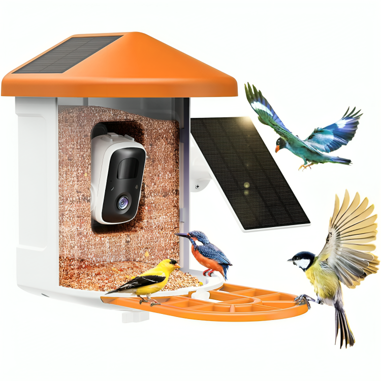 Cámara de Comedero para Aves Solar Inteligente para Exteriores