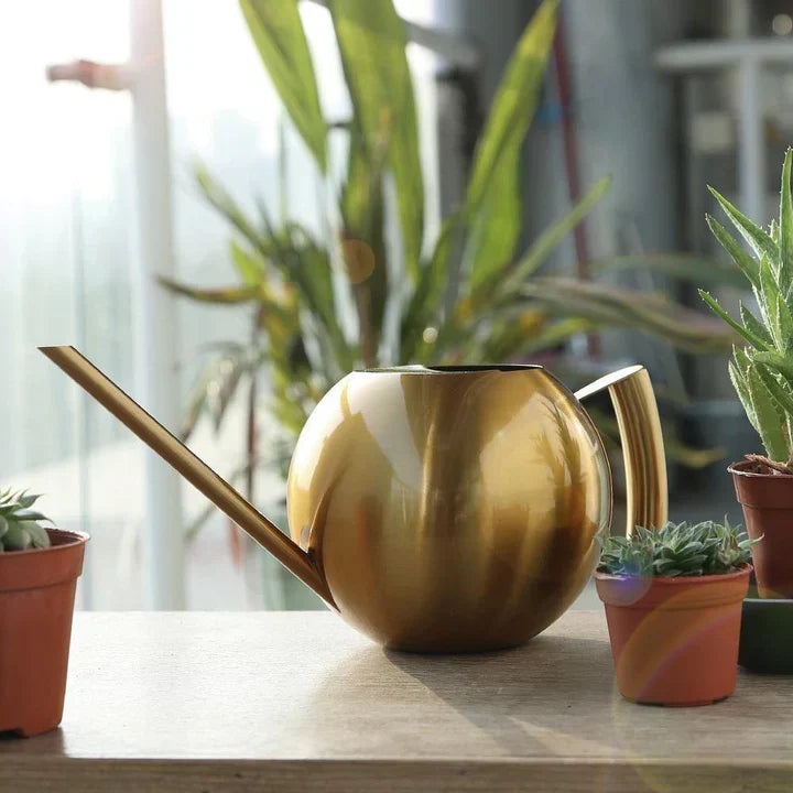 PlantFlow – Regadera esférica delgada perfecta para plantas delicadas