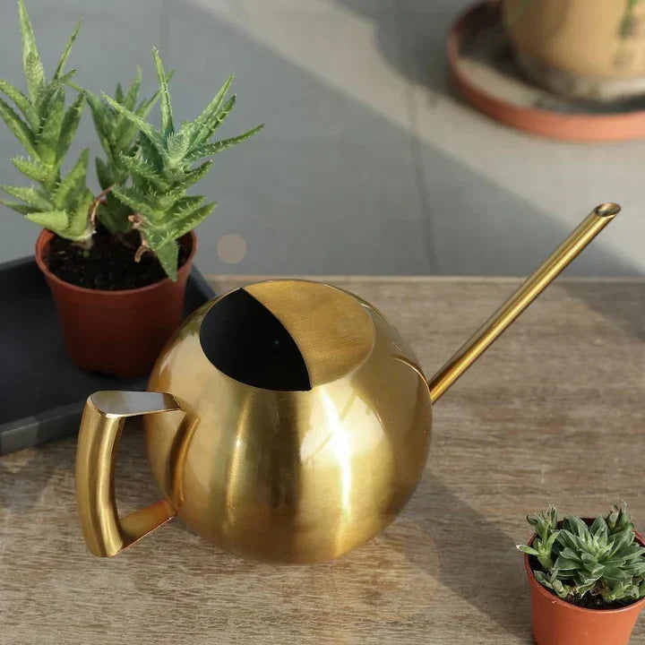 PlantFlow – Regadera esférica delgada perfecta para plantas delicadas