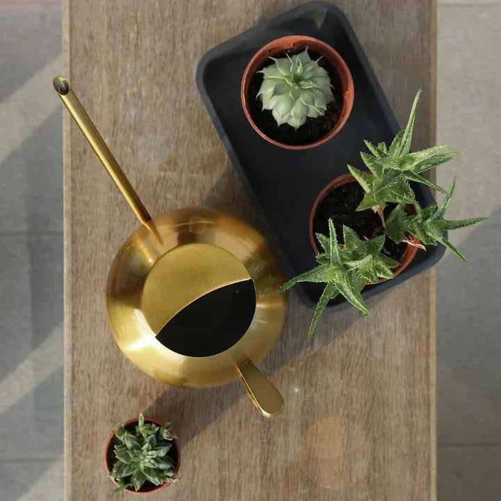 PlantFlow – Regadera esférica delgada perfecta para plantas delicadas