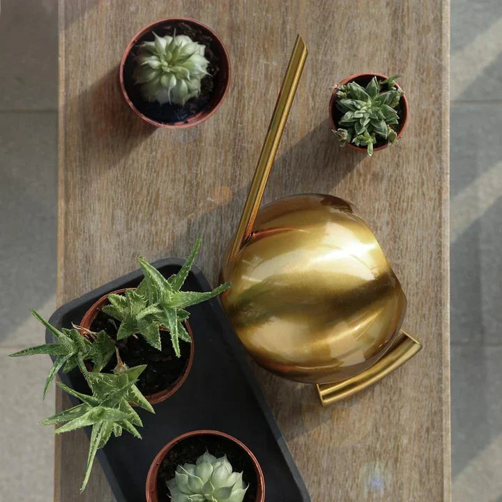 PlantFlow – Regadera esférica delgada perfecta para plantas delicadas