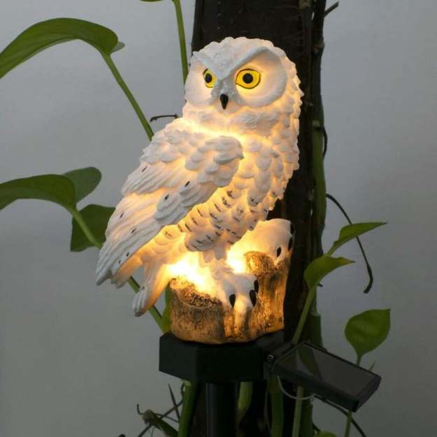 Luz Decorativa de Jardín Solar