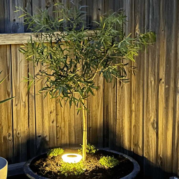 Luces de Jardín SunBeam – Resistentes a la Óxido, Alimentadas por Solar y Preparadas para el Clima